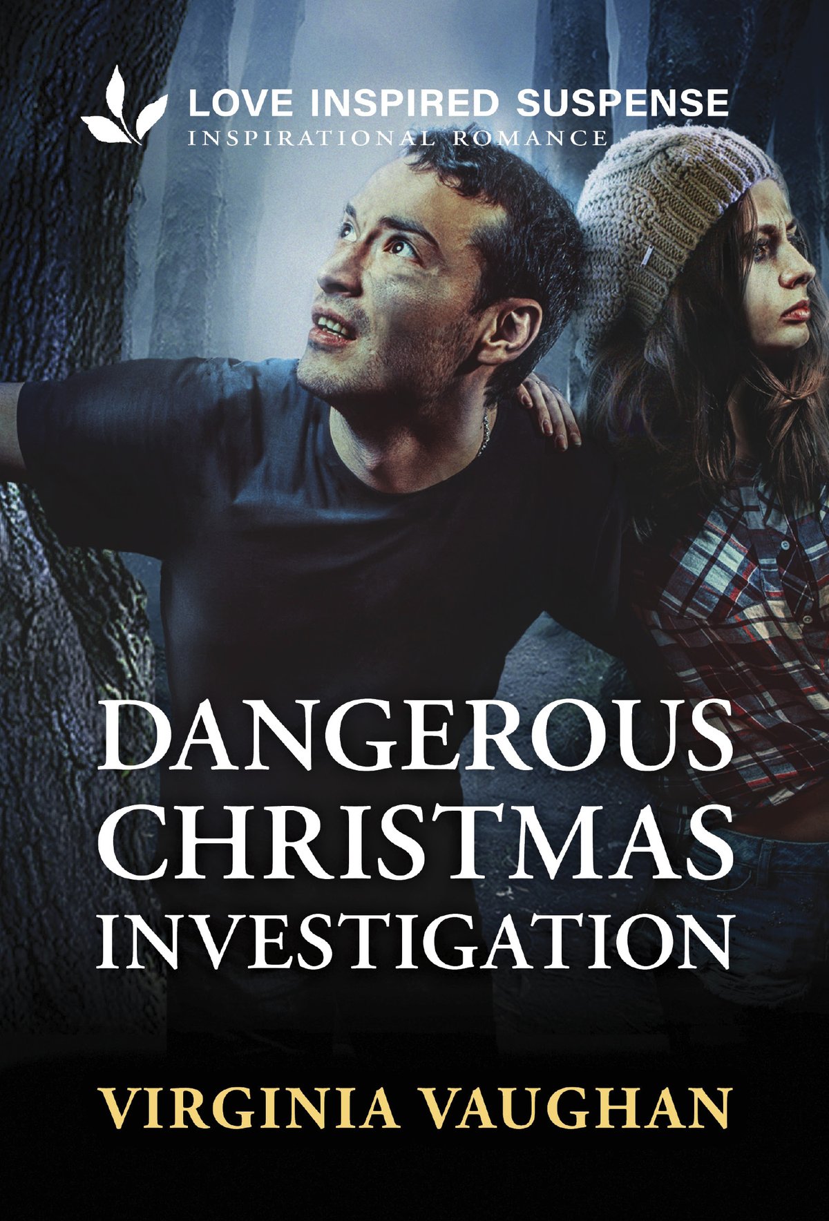 Cover of Dangerous Christmas Investigation