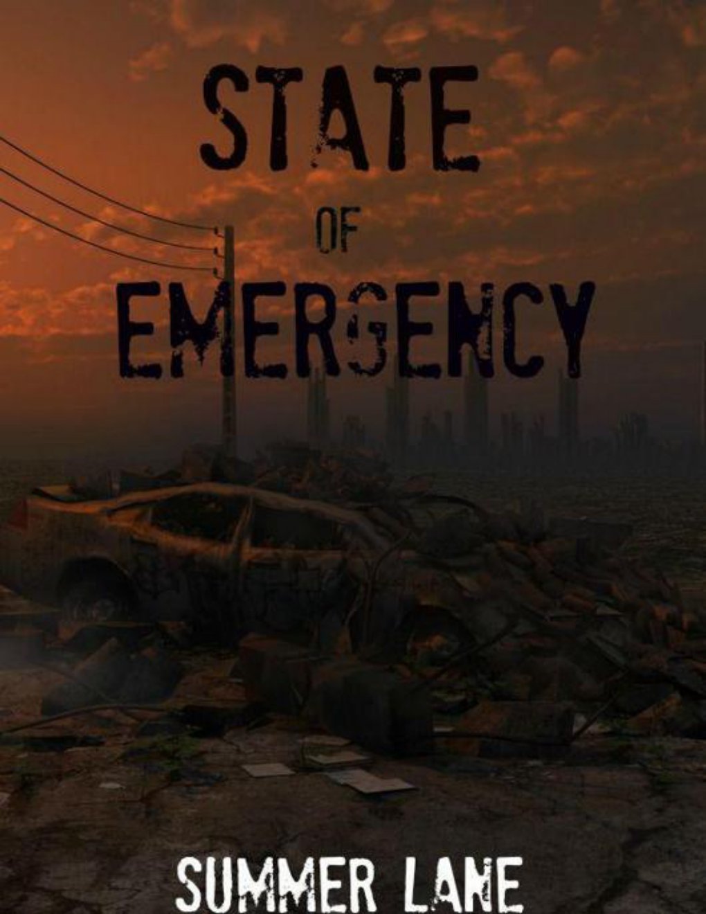 Cover of State of Emergency (Book)