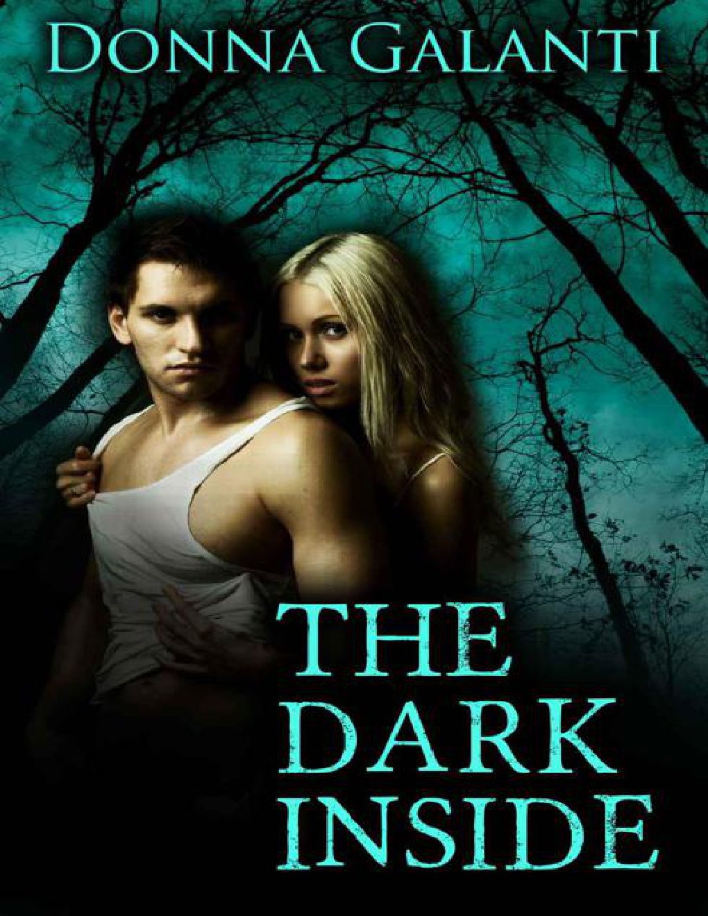 Cover of The Dark Inside (2013)