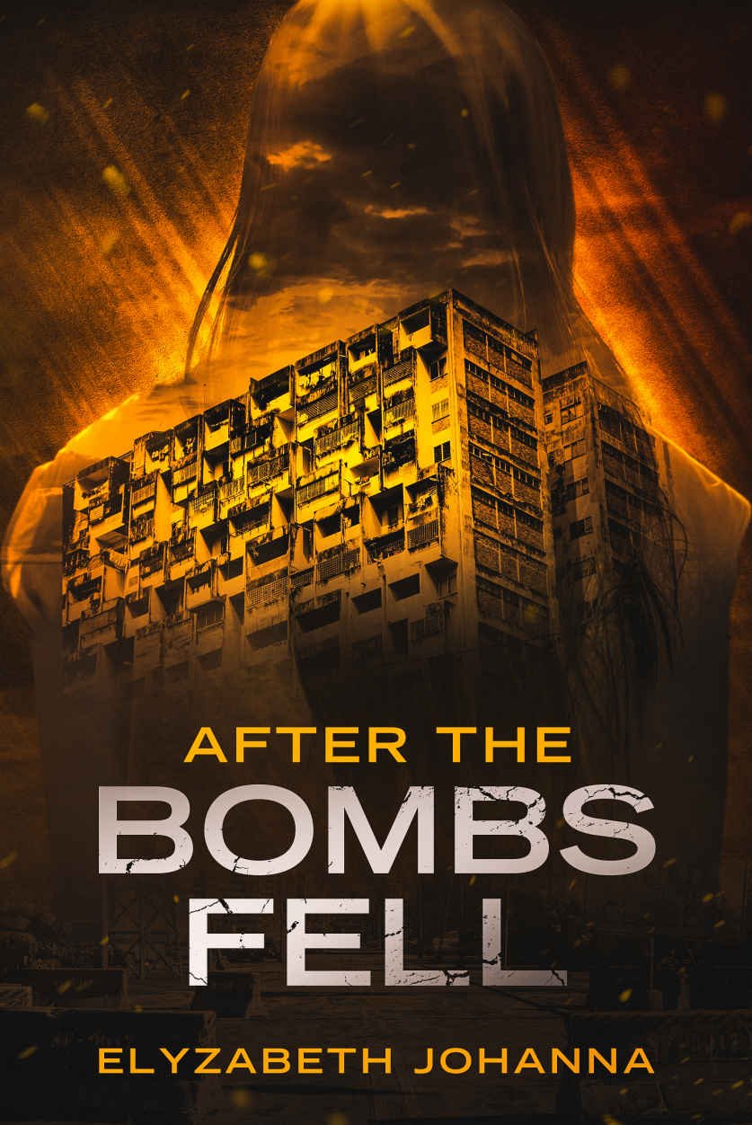 Cover of After the Bombs Fell
