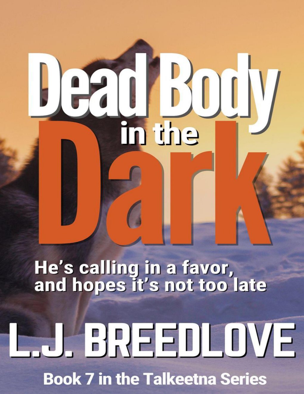 Cover of Dead Body in the Dark
