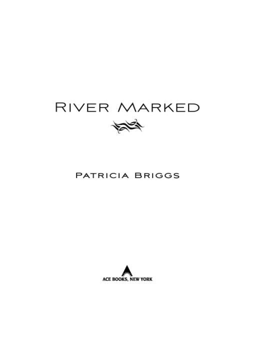 Cover of River Marked (2011)