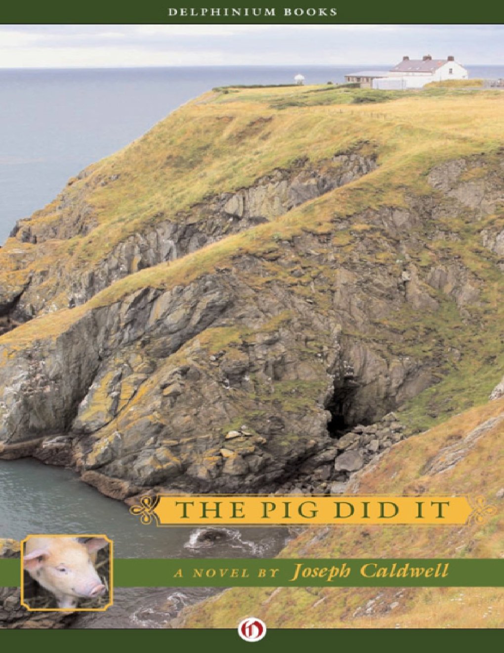 Cover of The Pig Did It