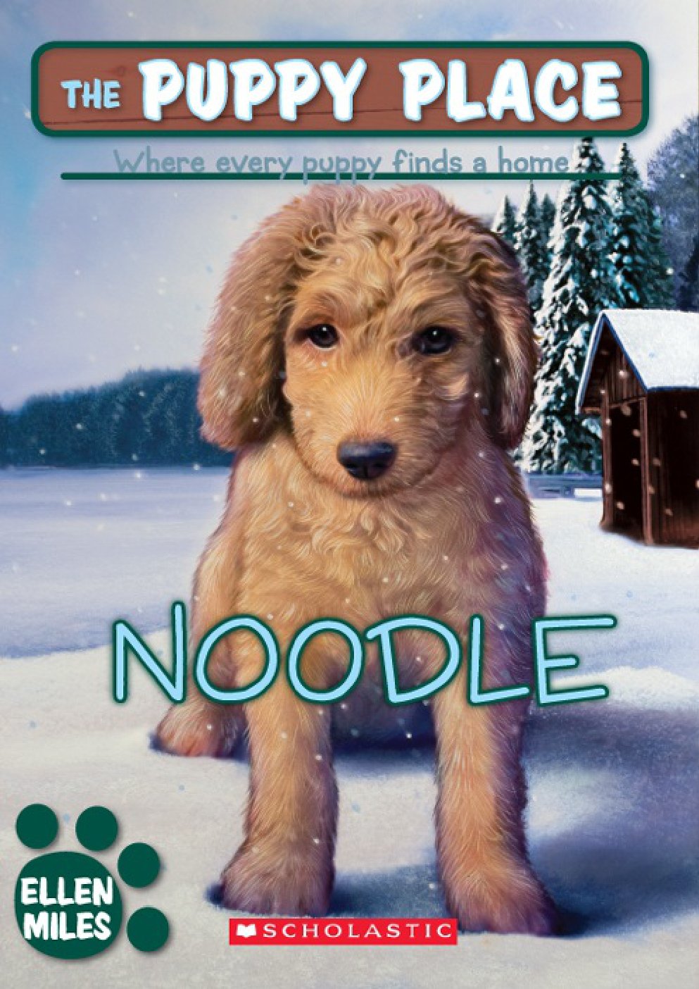 Cover of Noodle (2008)