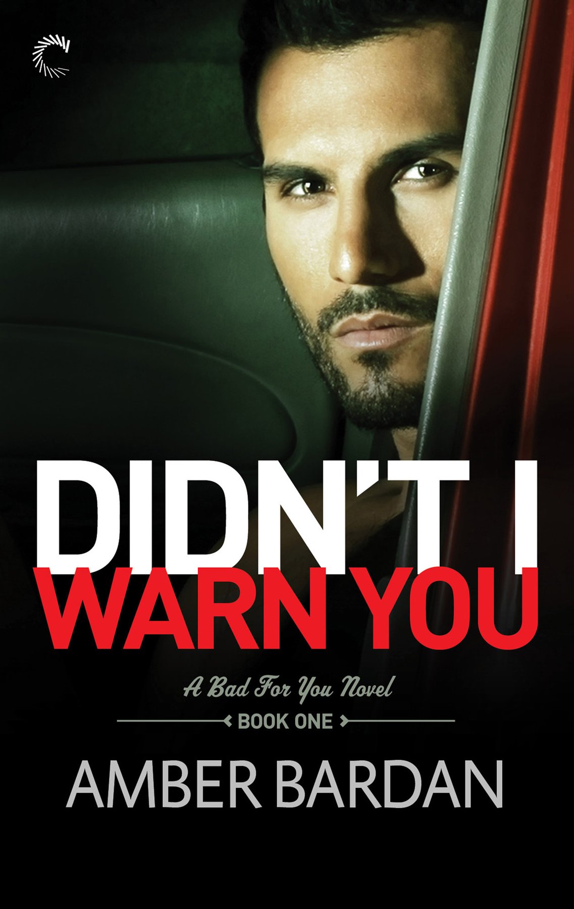 Cover of Didn't I Warn You