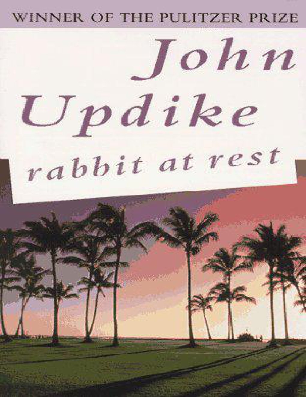 Cover of Rabbit at rest (2001)