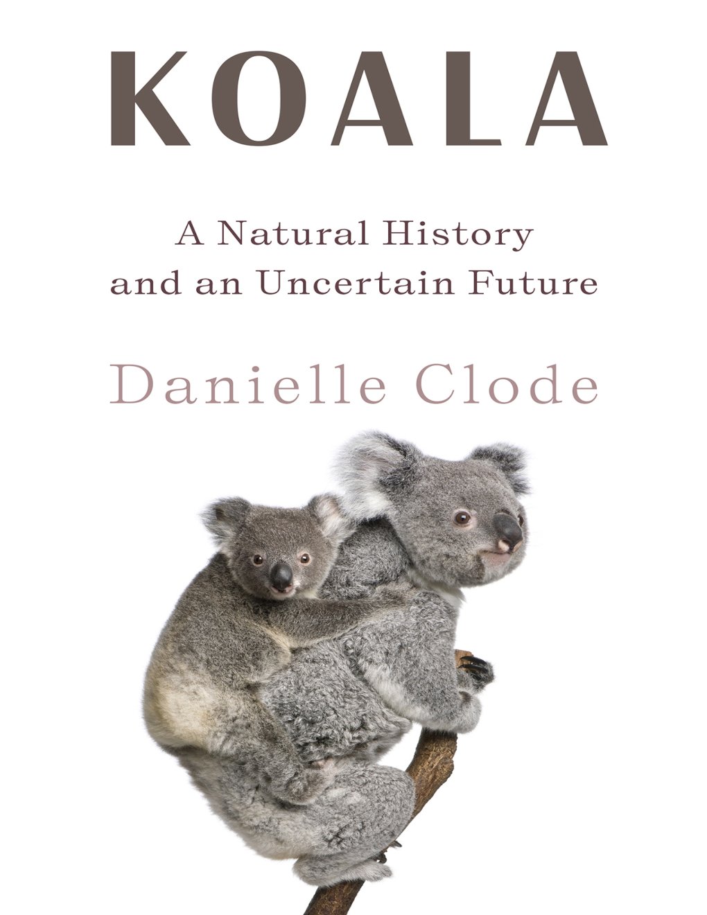 Cover of Koala