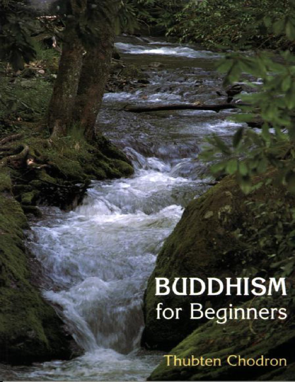 Cover of Buddhism For Beginners