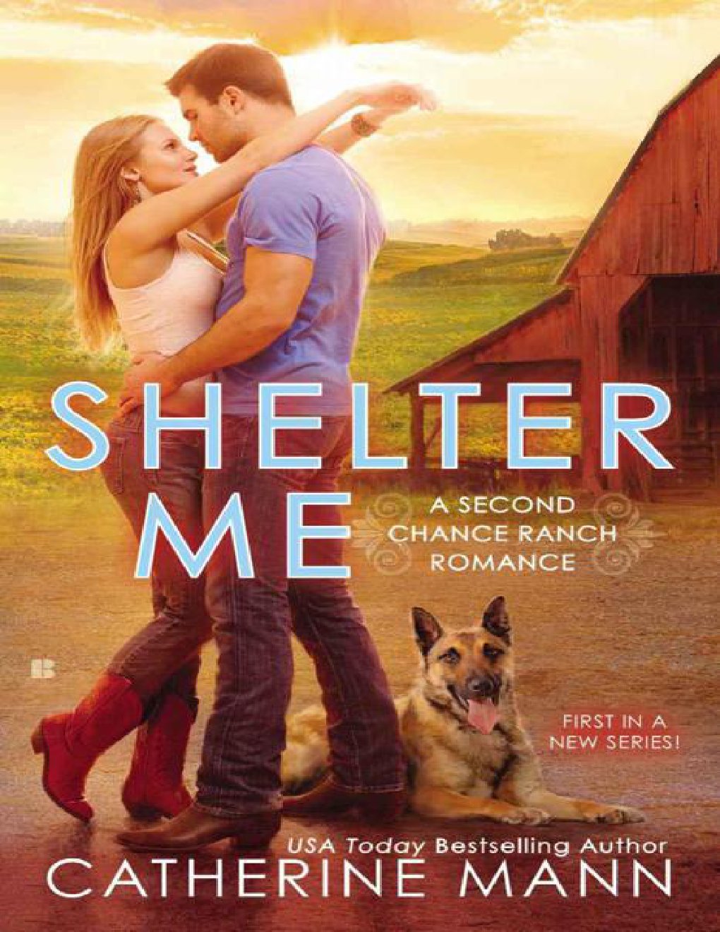 Cover of Shelter Me