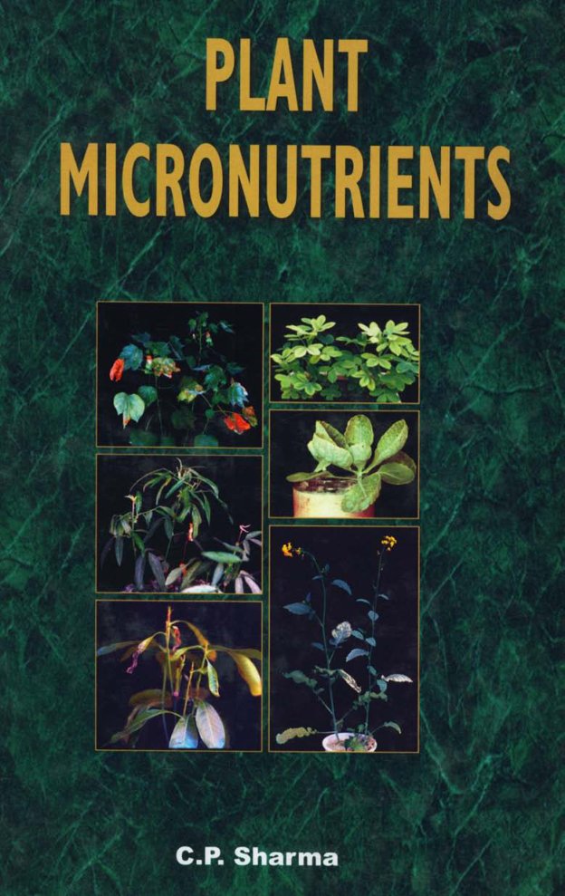 Cover of Plant (1934)