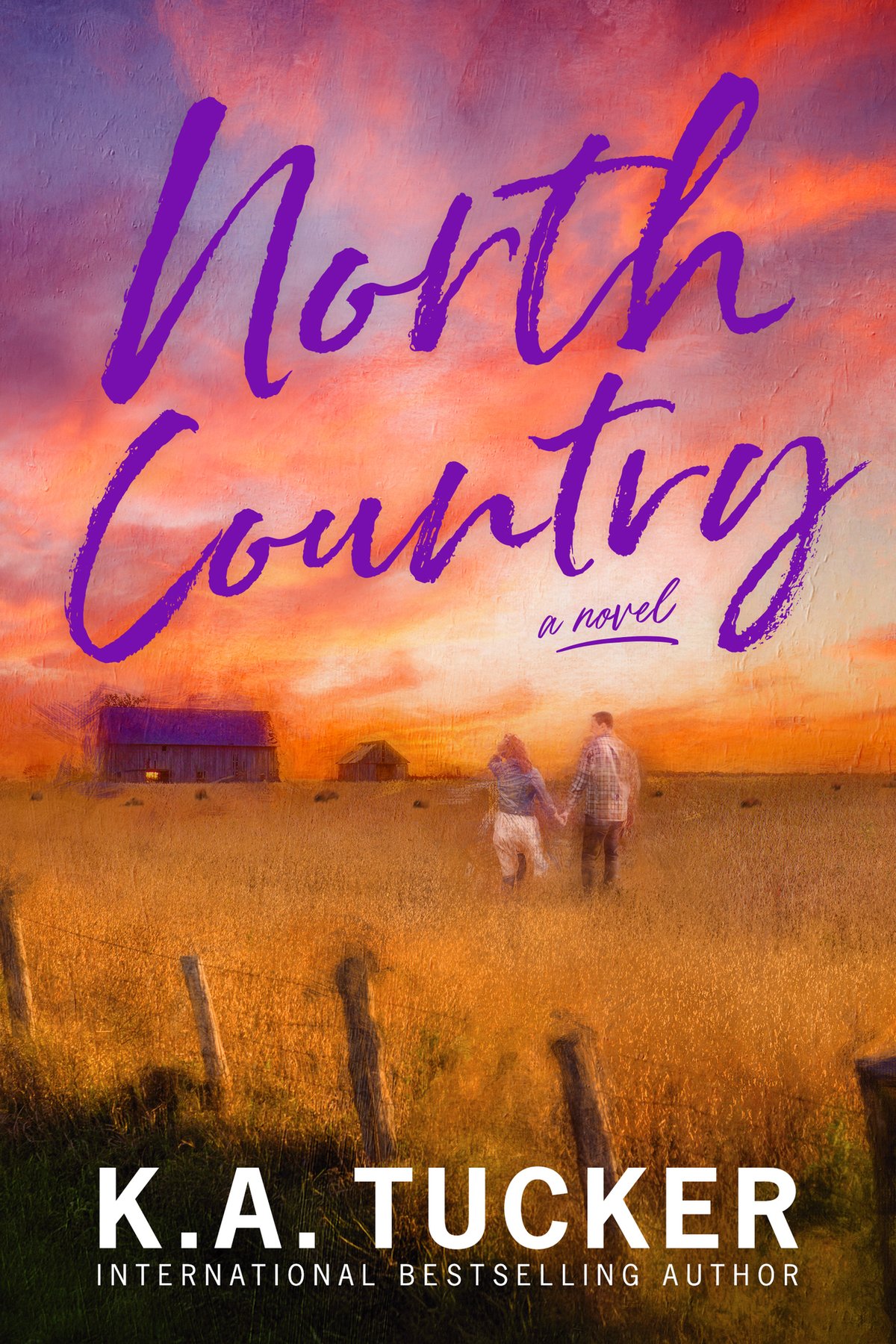 Cover of North Country