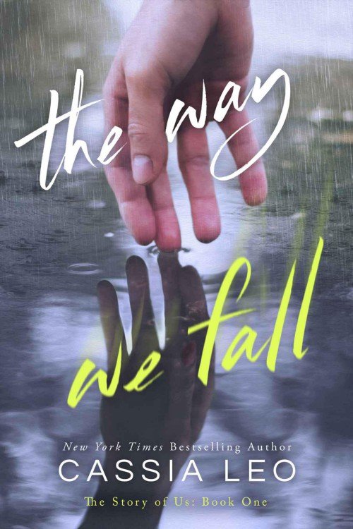 Cover of The Way We Fall