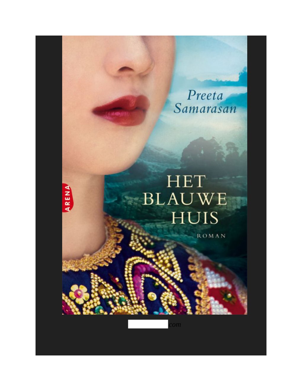 Cover of Het Blauwe Huis (1980)