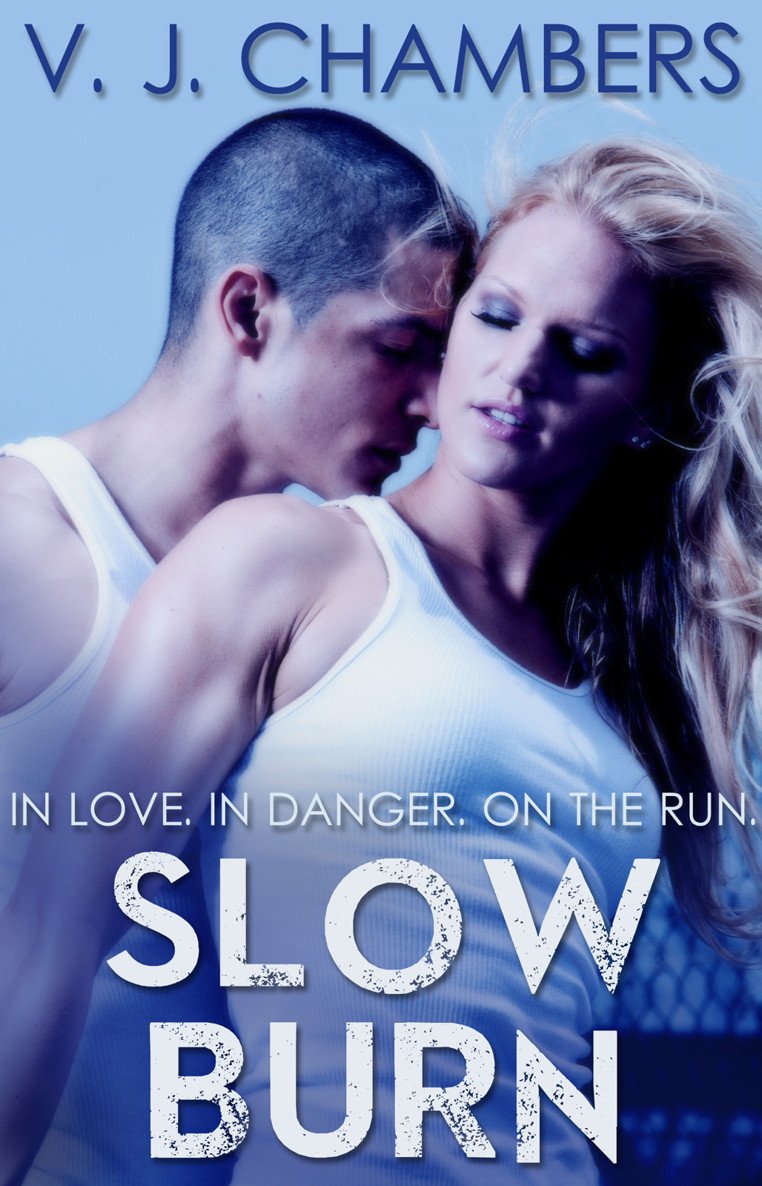 Cover of Slow Burn (smashwords edition)