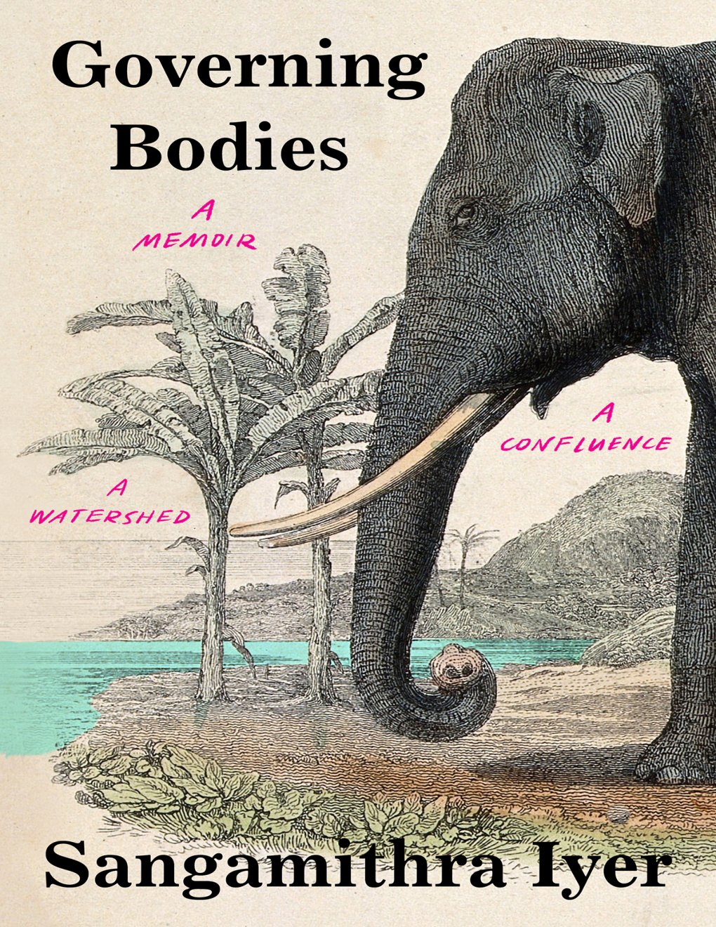 Cover of Governing Bodies