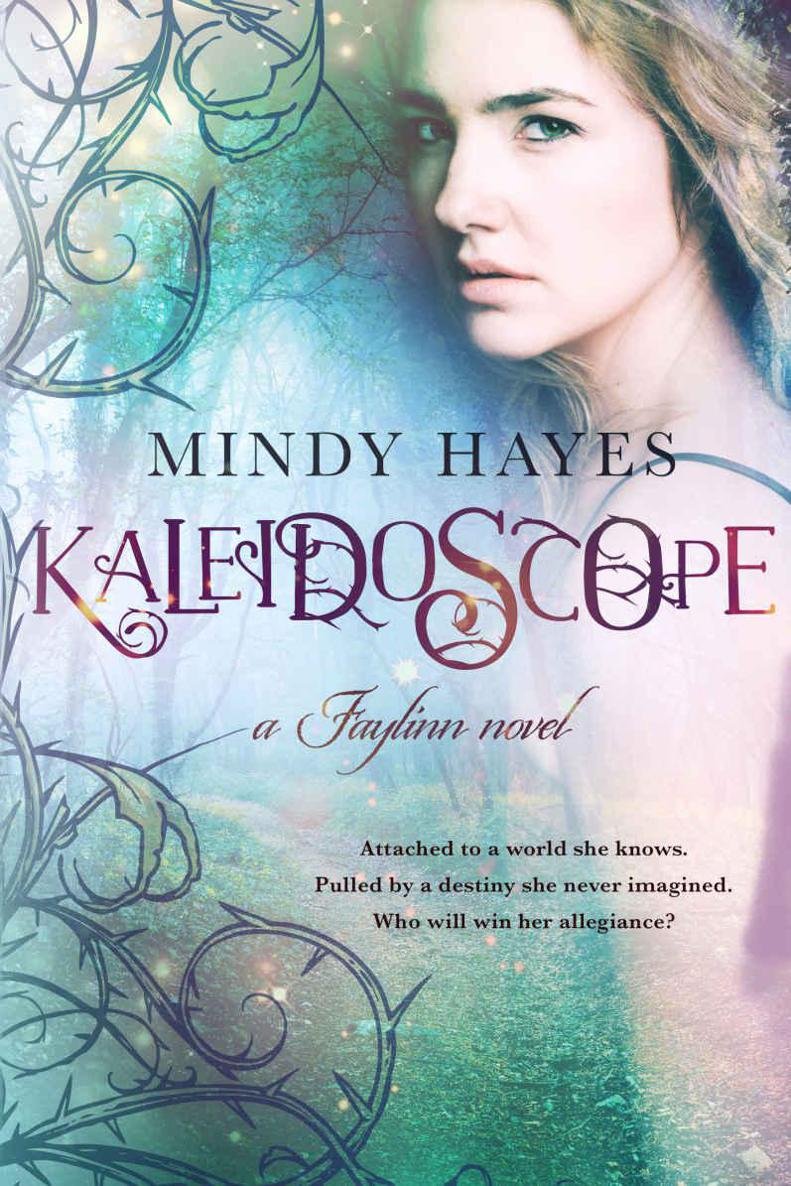 Cover of Kaleidoscope (2013)