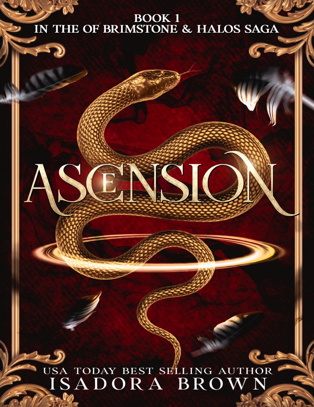 Cover of Ascension