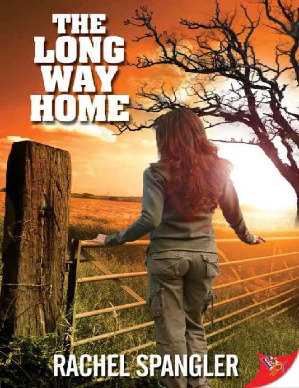 Cover of The Long Way Home