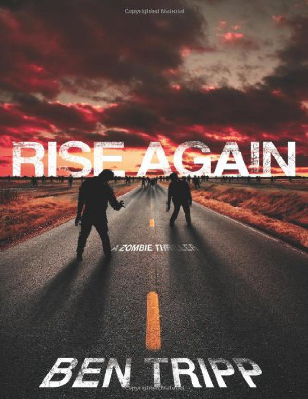 Cover of Rise Again