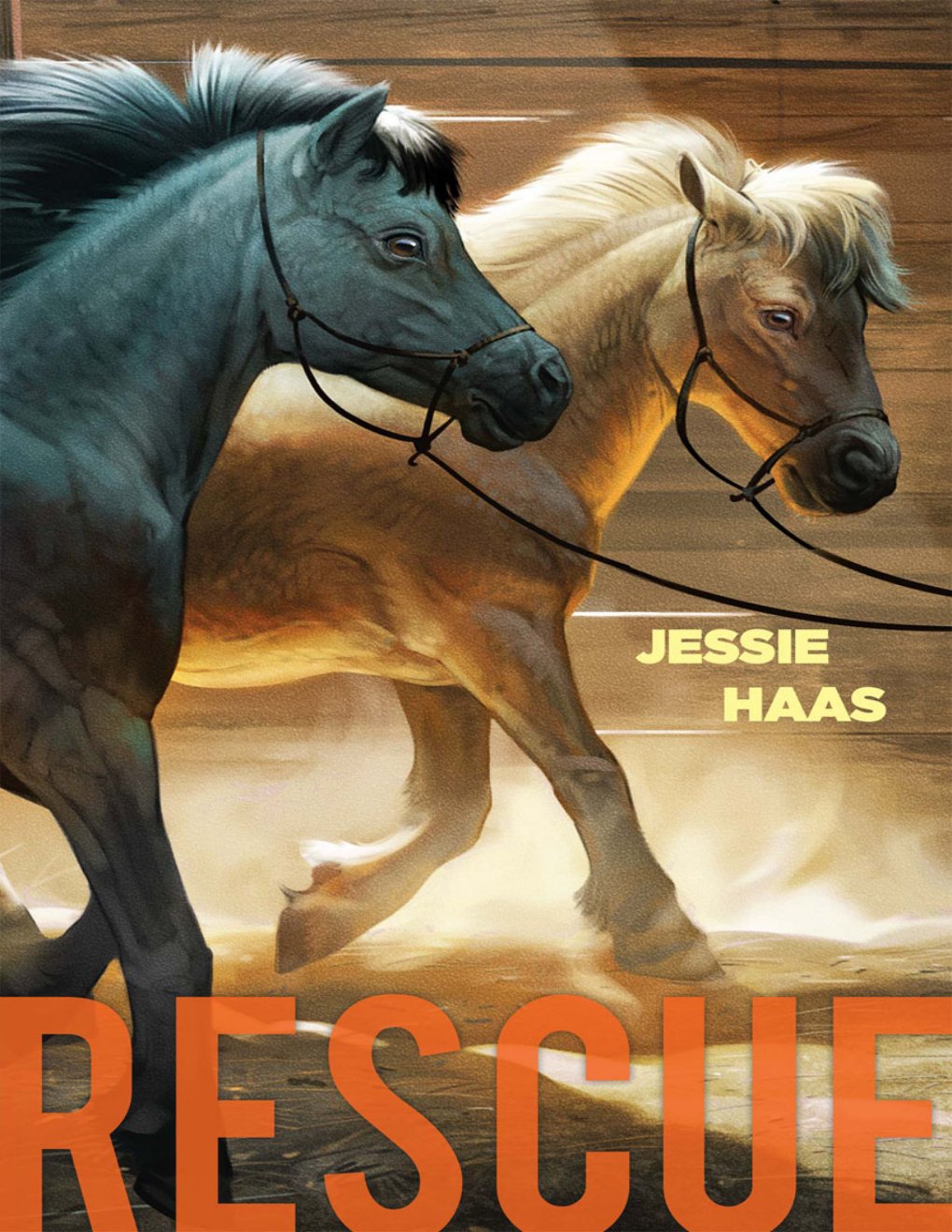 Cover of Rescue