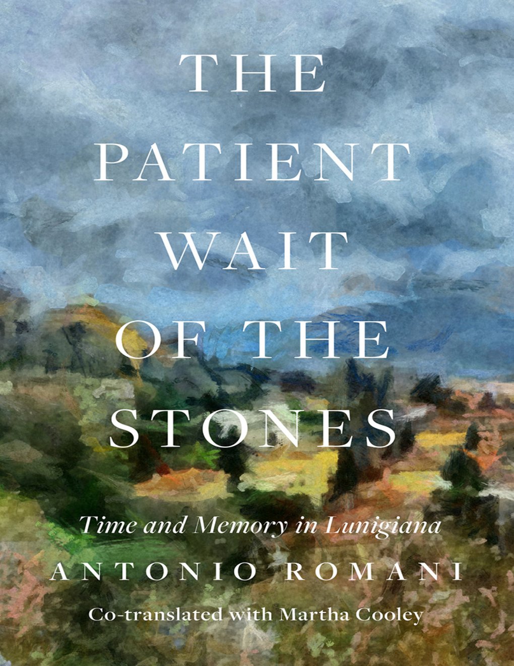 Cover of The Patient Wait of the Stones