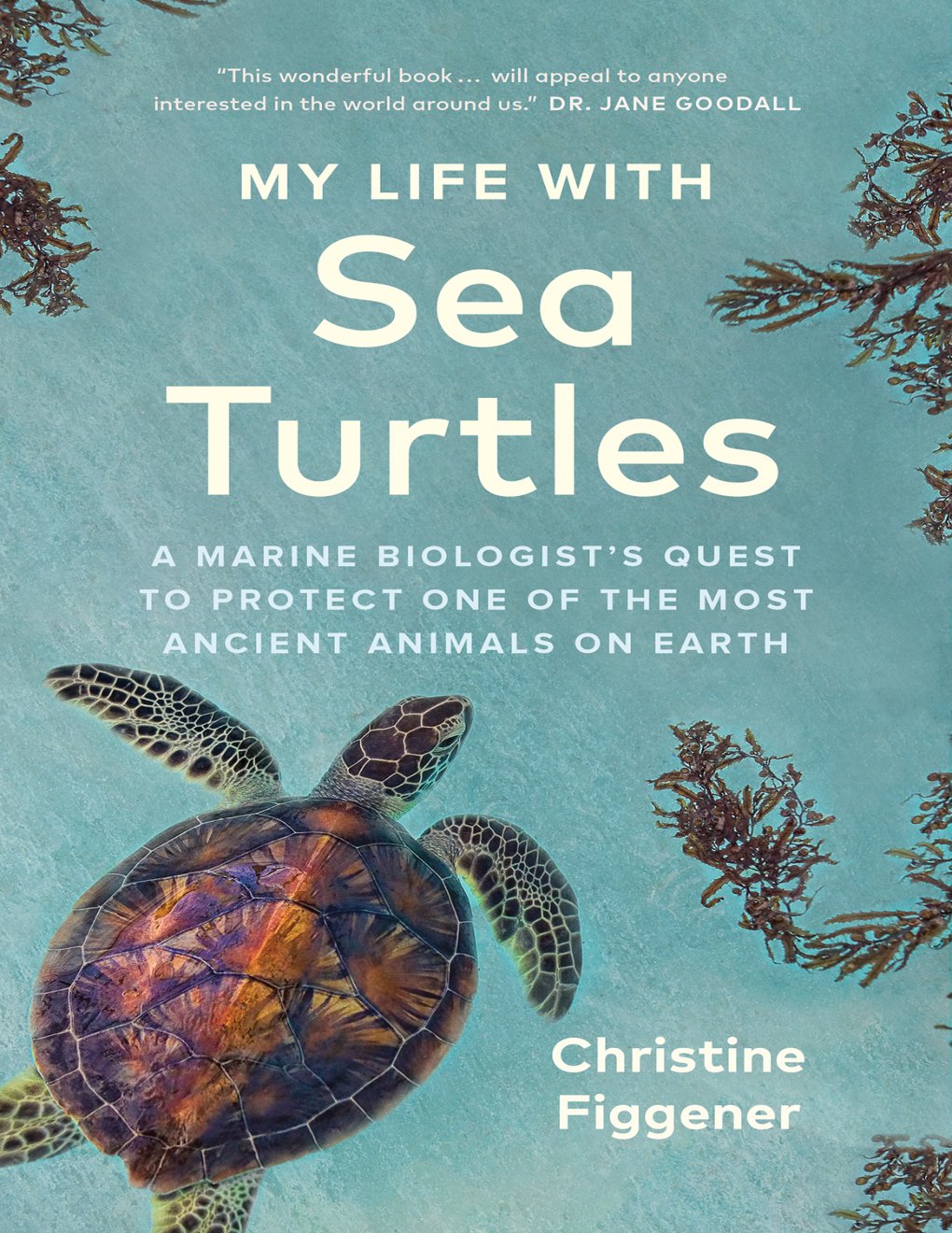 Cover of My Life with Sea Turtles