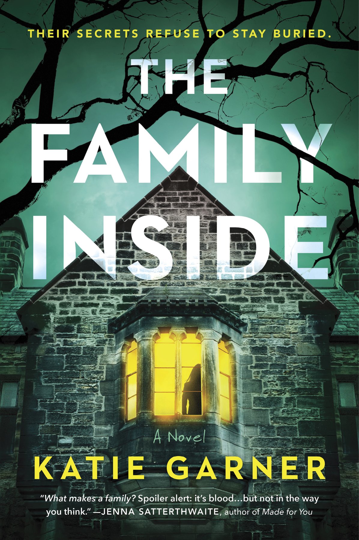 Cover of The Family Inside