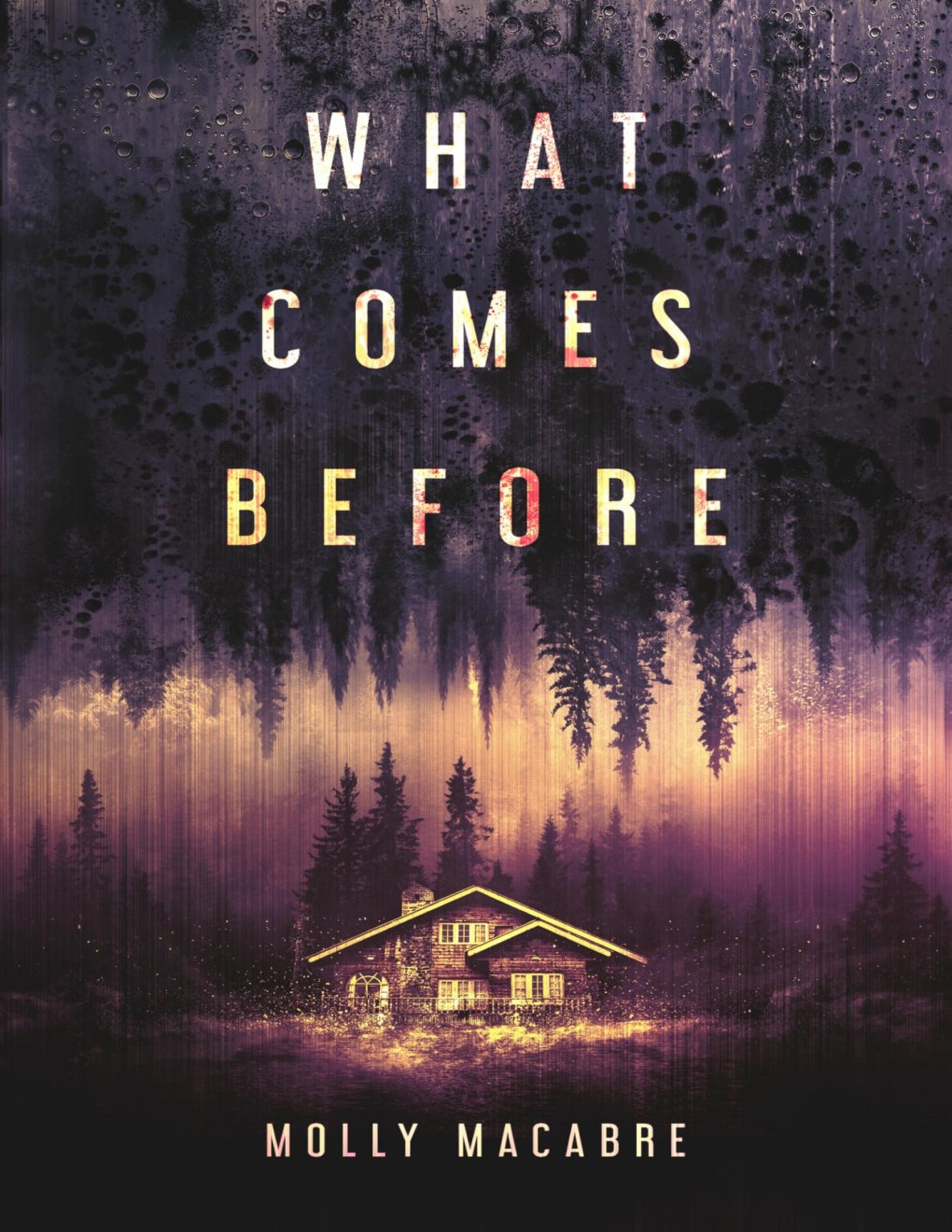 Cover of What Comes Before