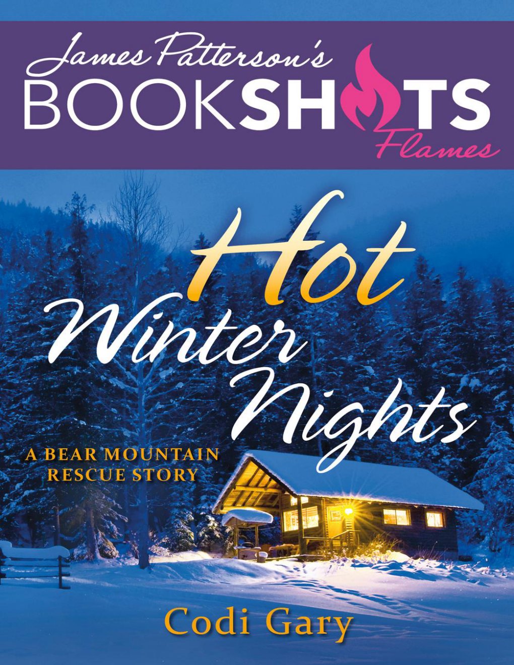 Cover of Hot Winter Nights