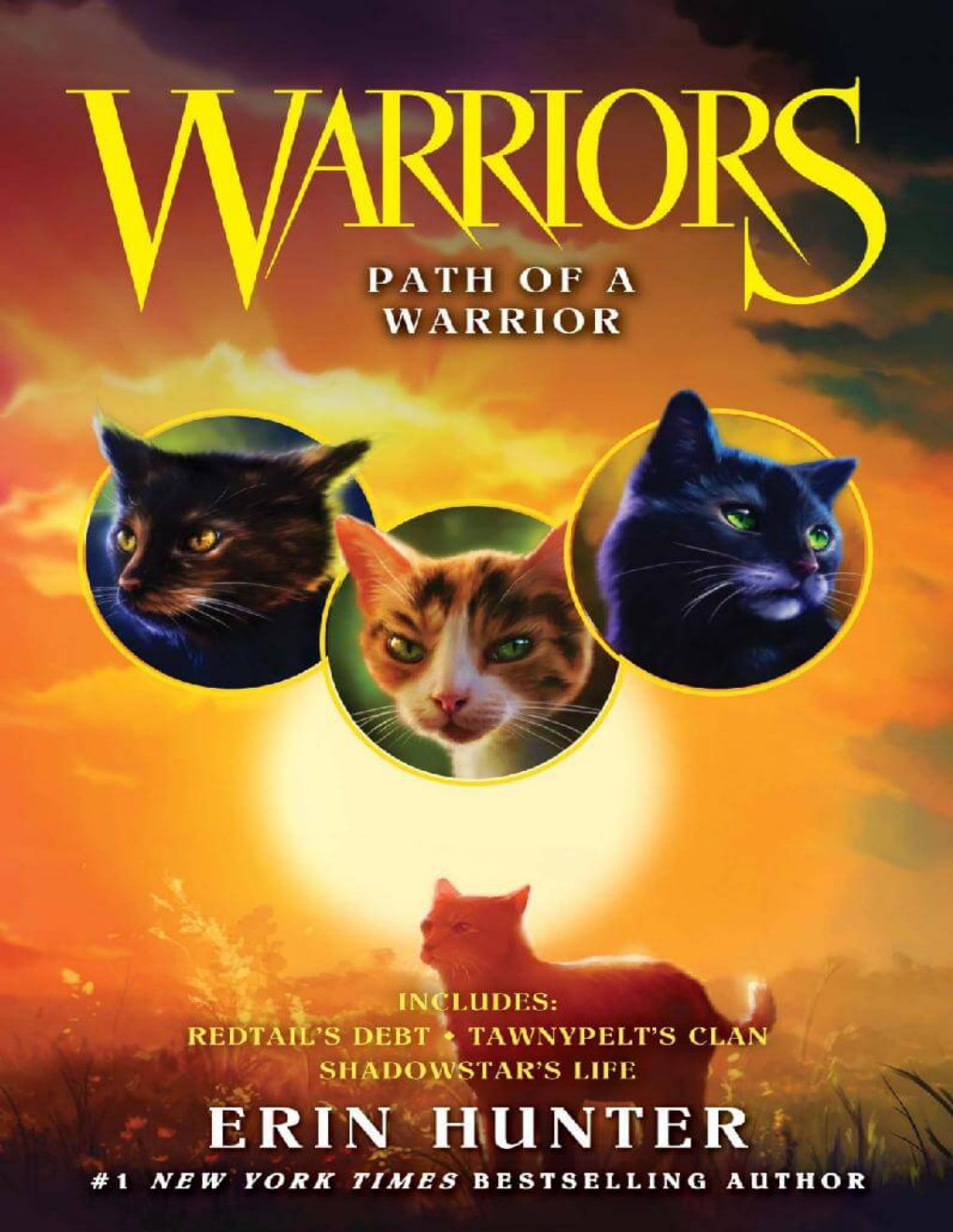 Cover of Warriors - Path of a Warrior
