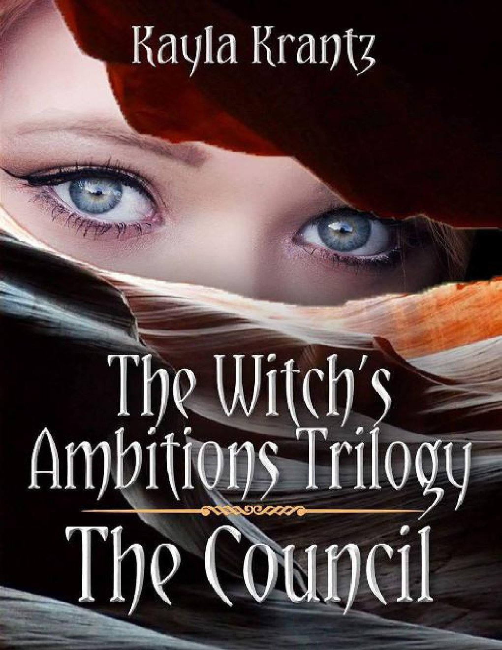 Cover of The Council