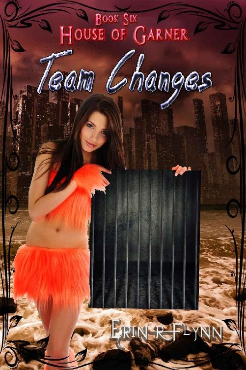 Cover of Team Changes