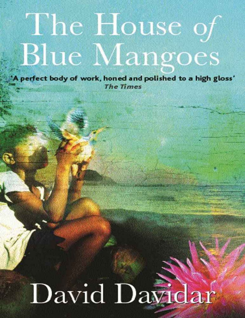 Cover of The House of Blue Mangoes