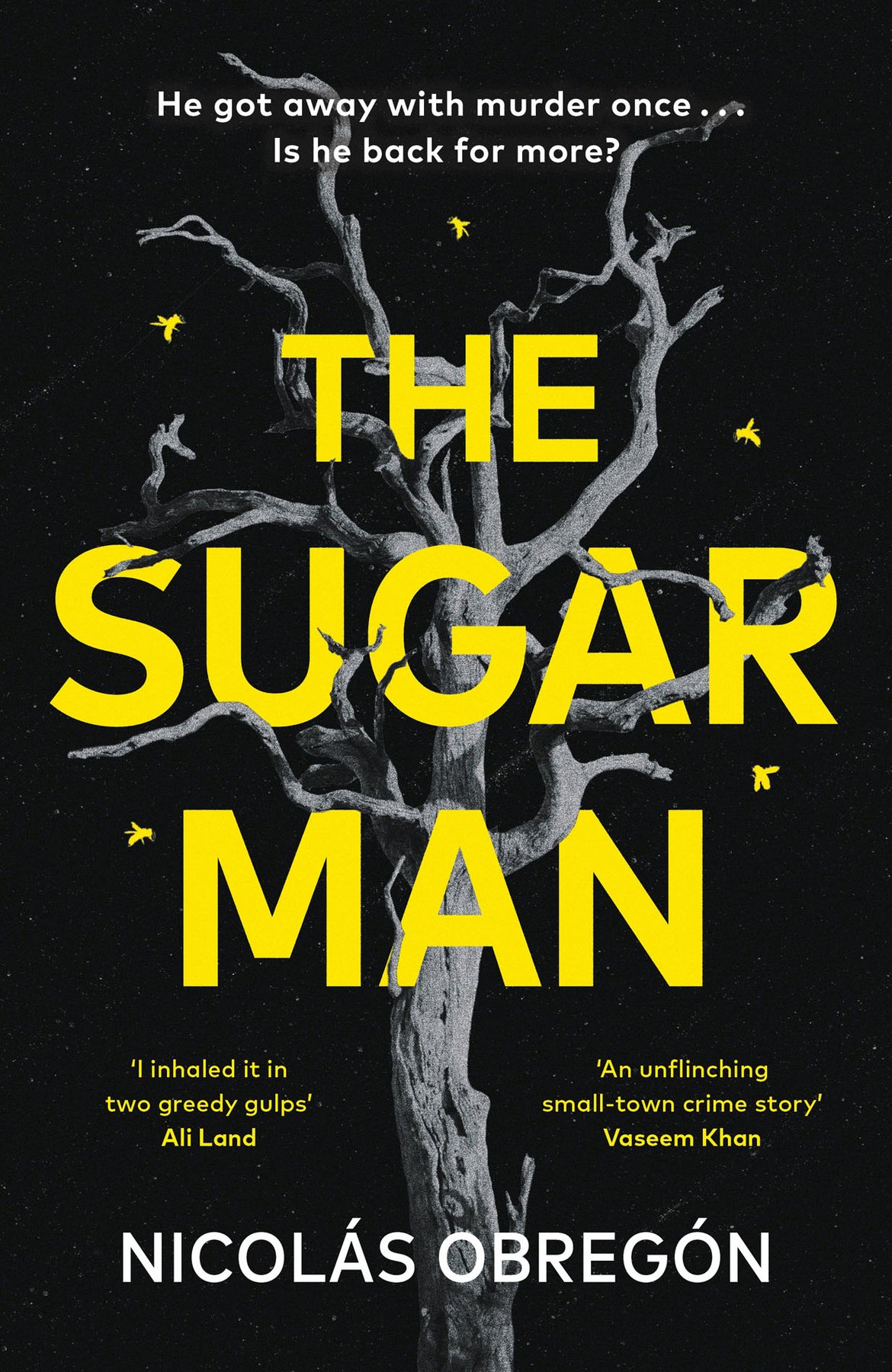 Cover of The Sugar Man (1971)