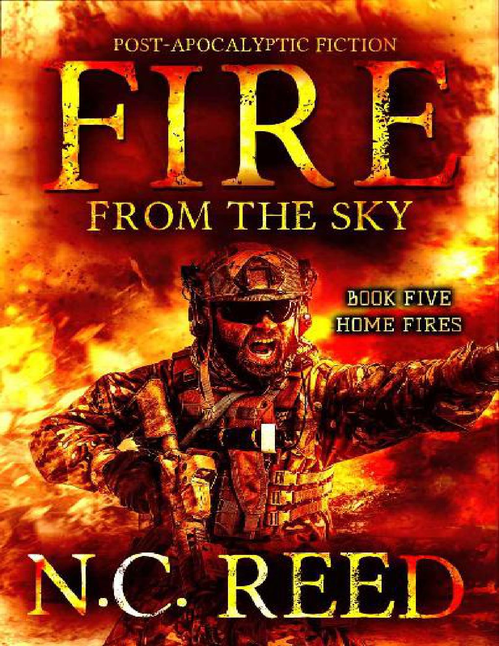 Cover of Fire From The Sky | Book 5 | Home Fires