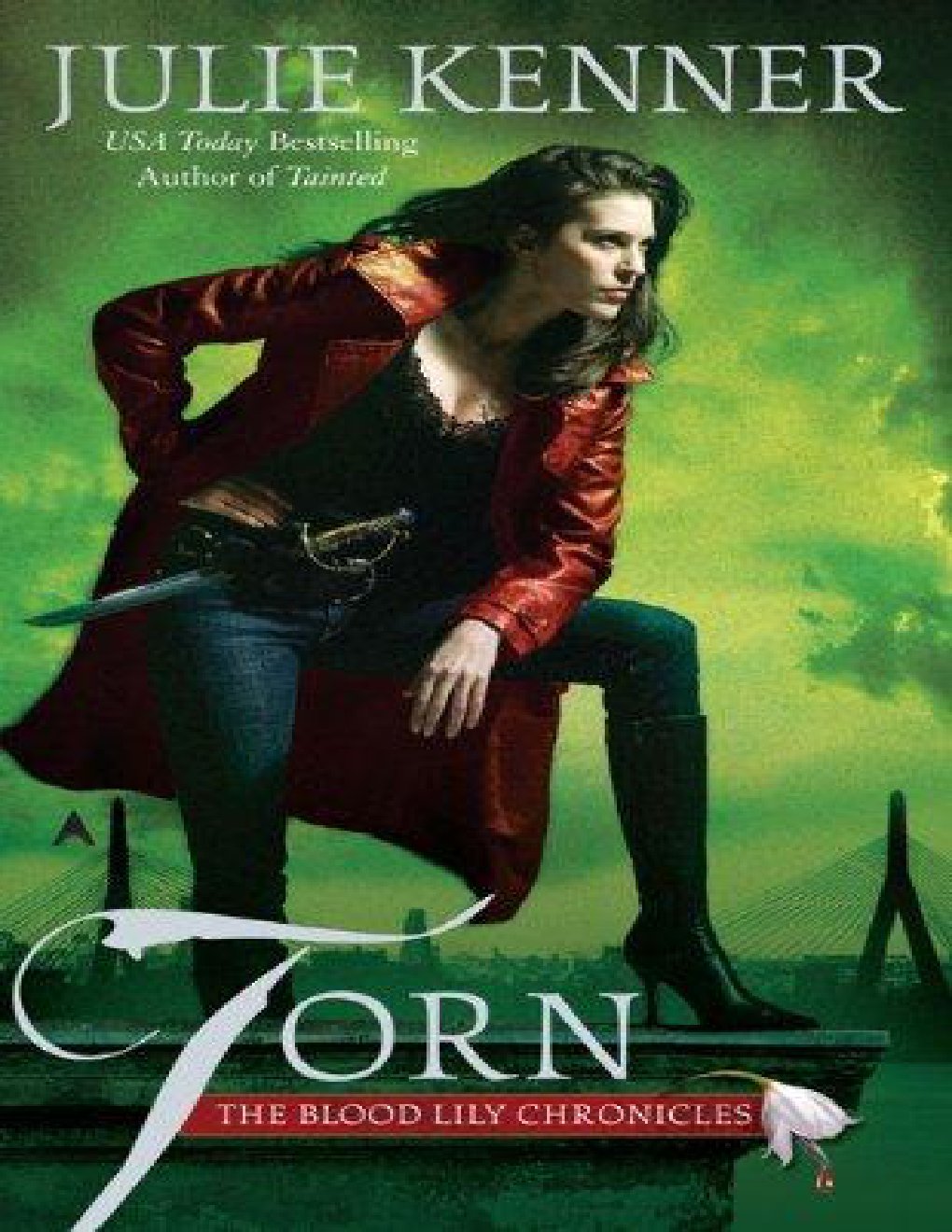 Cover of Torn