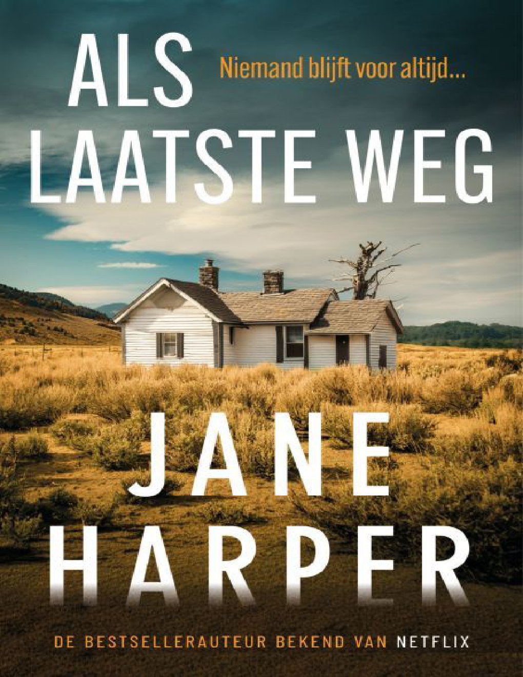 Cover of Als laatste weg