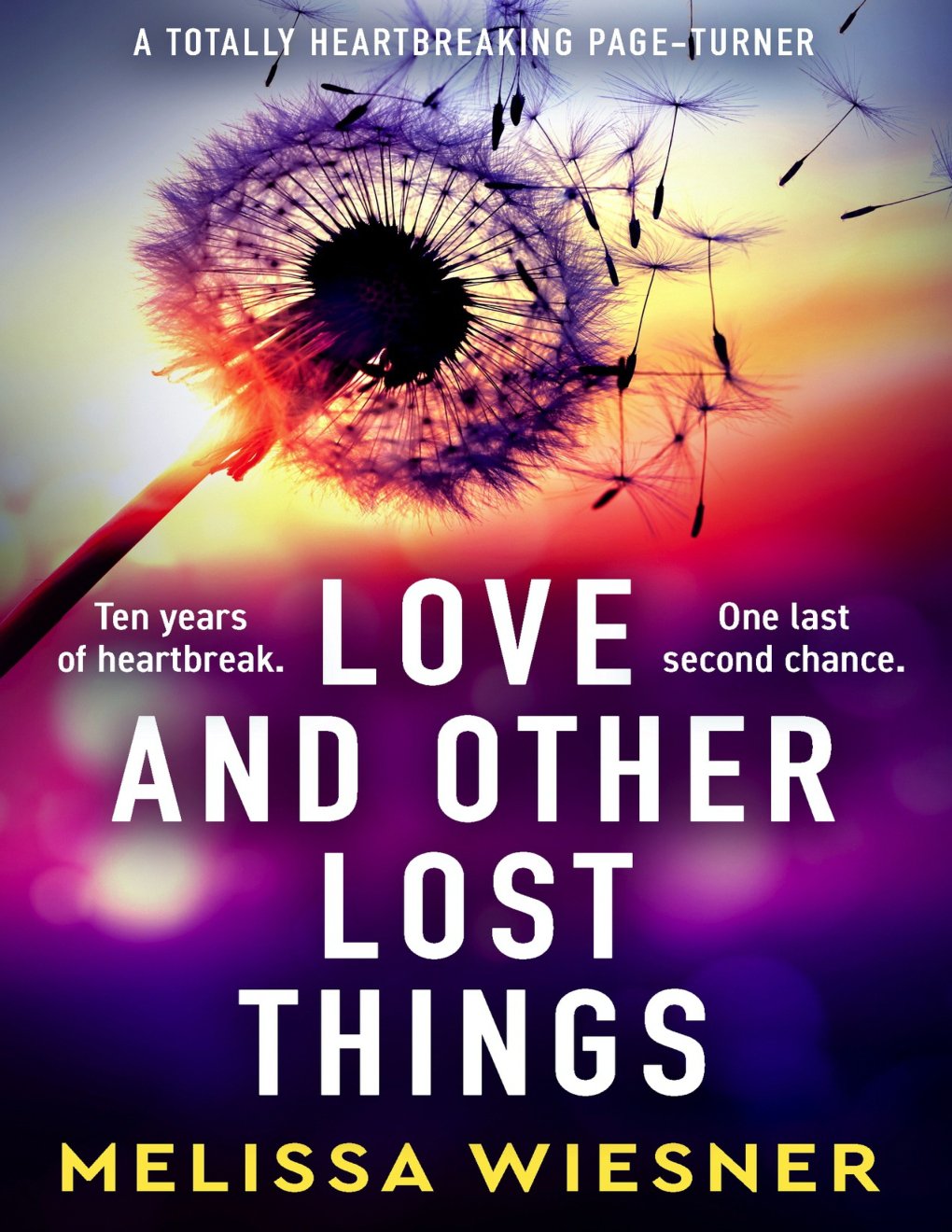 Cover of Love and Other Lost Things: A totally heartbreaking page-turner