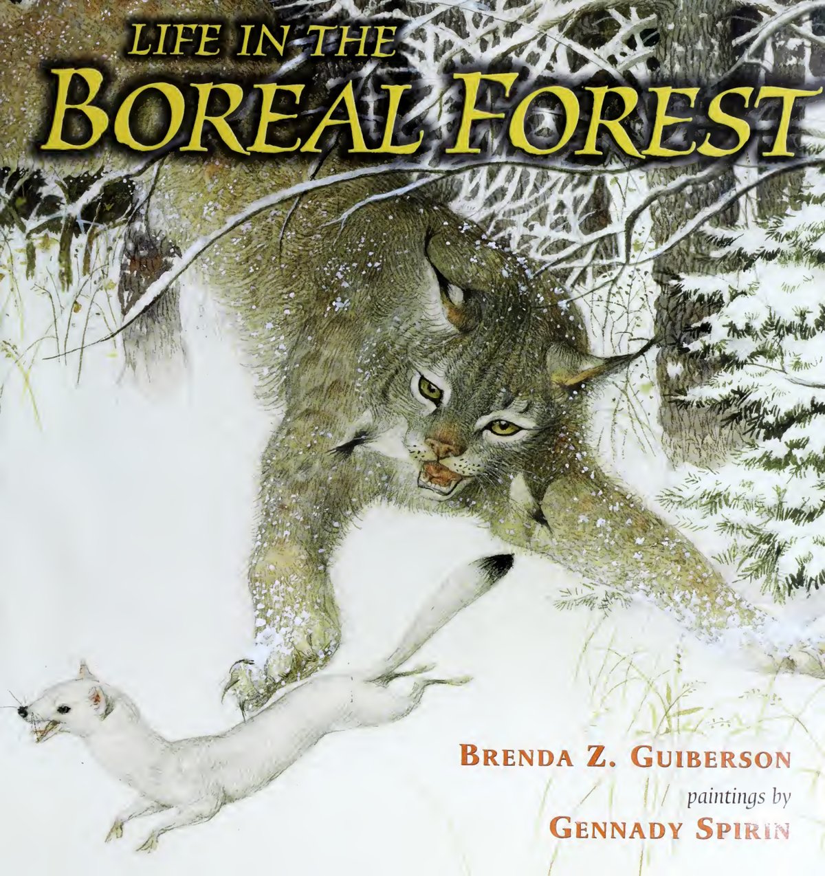 Cover of Life in the boreal forest