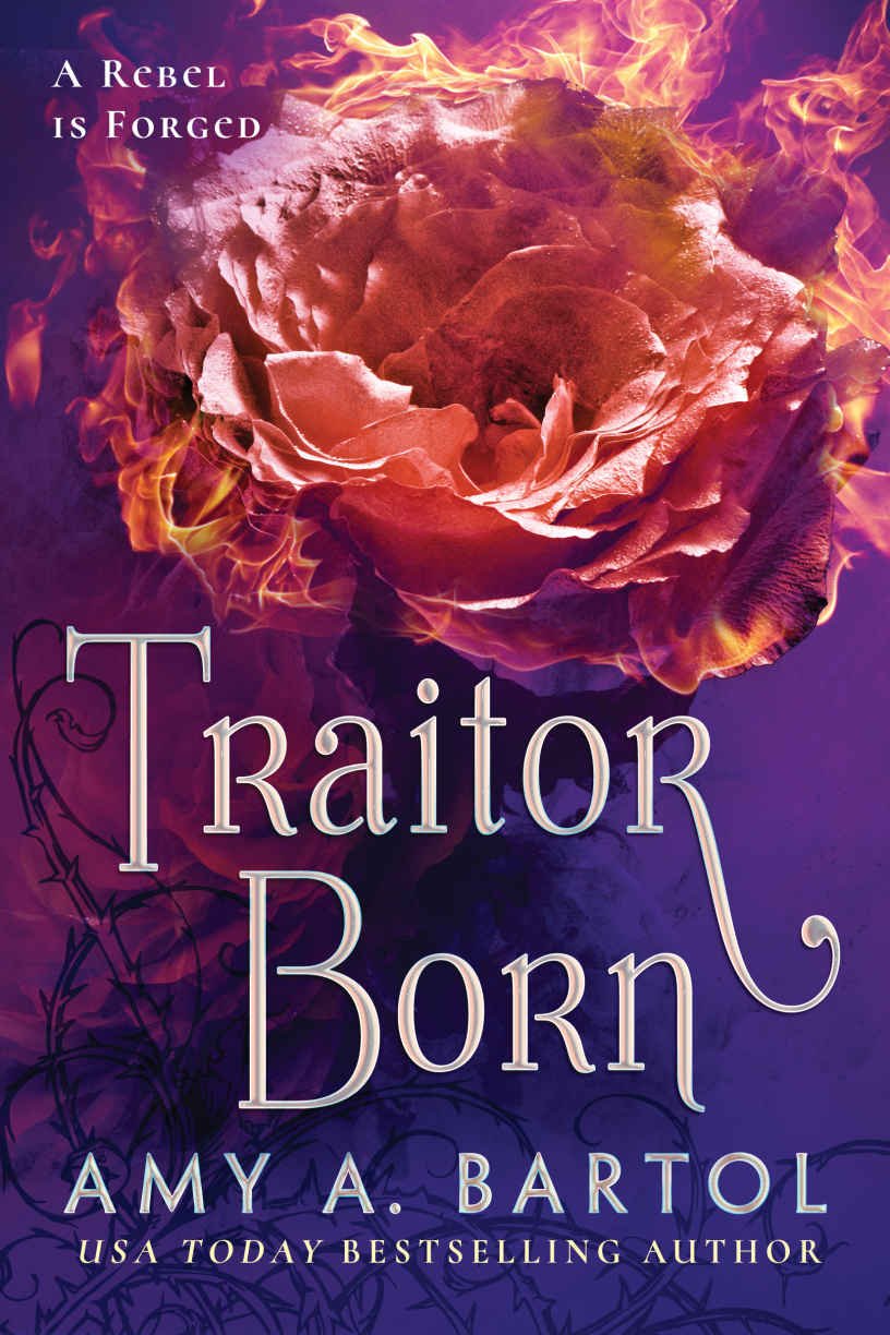 Cover of Traitor Born