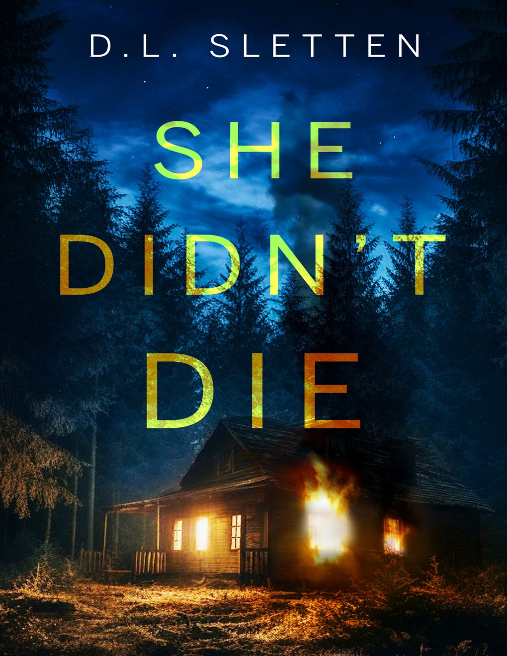 Cover of She Didn't Die
