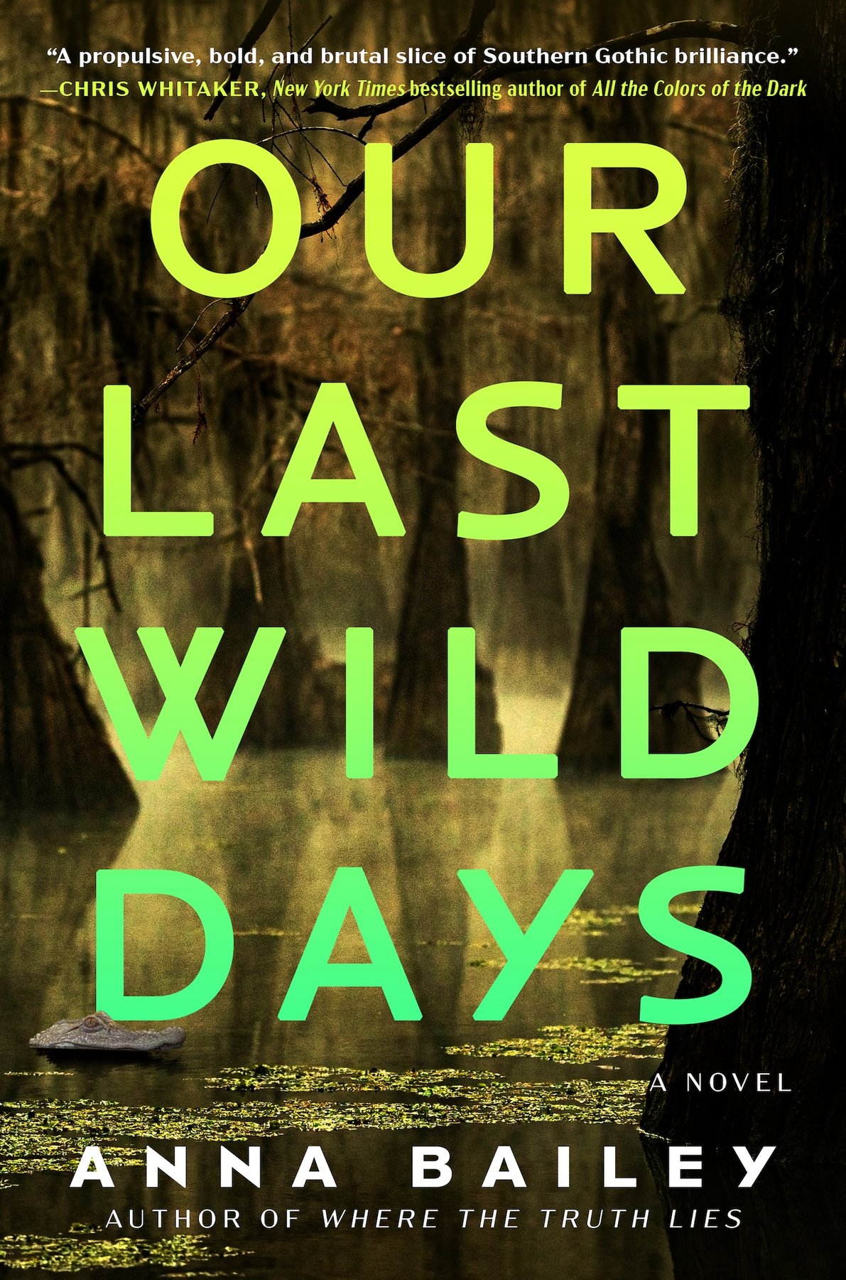 Cover of Our Last Wild Days