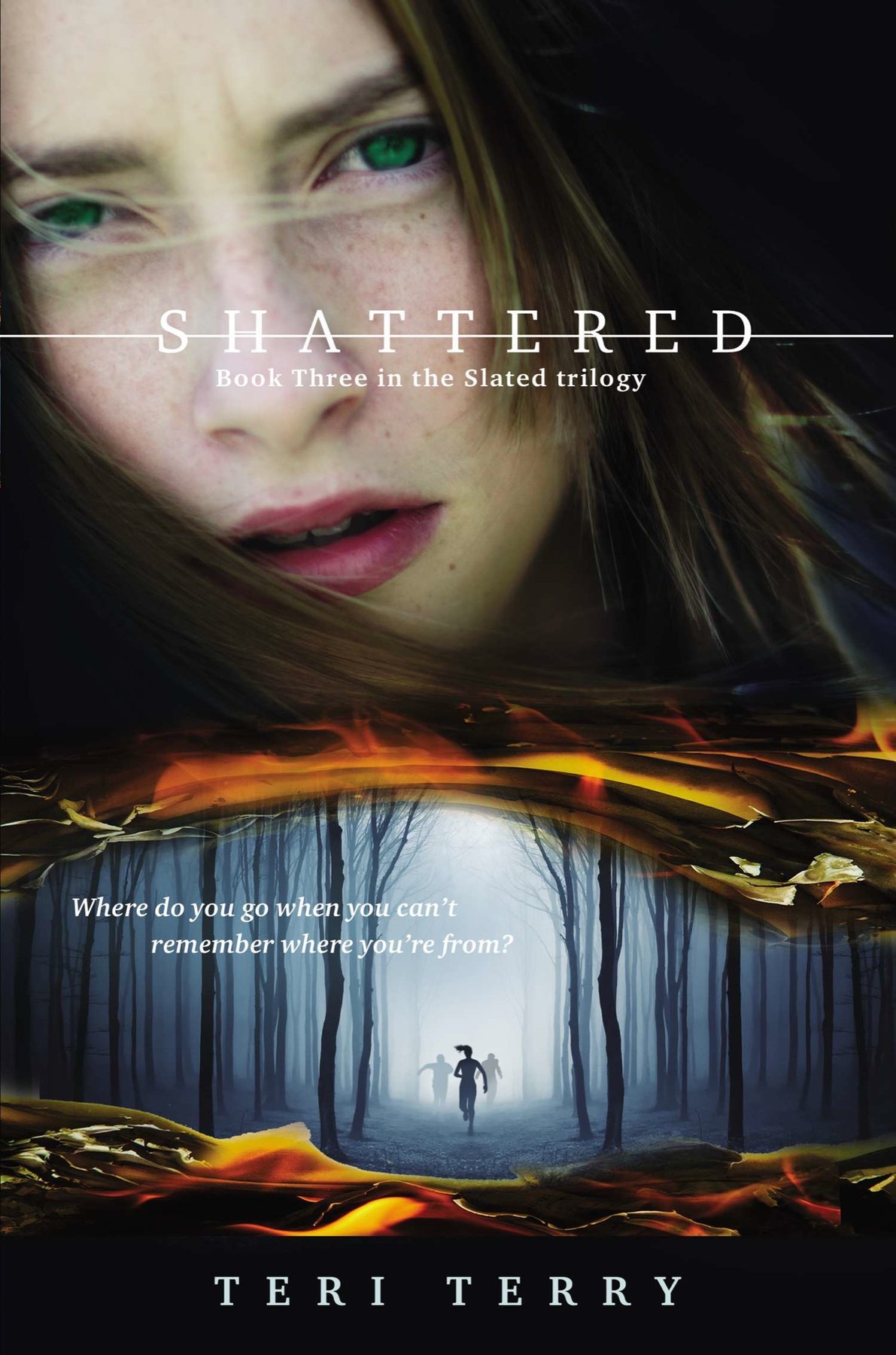Cover of Shattered