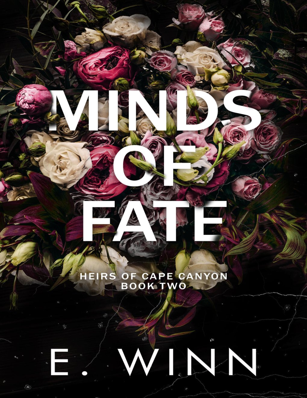 Cover of Minds of Fate