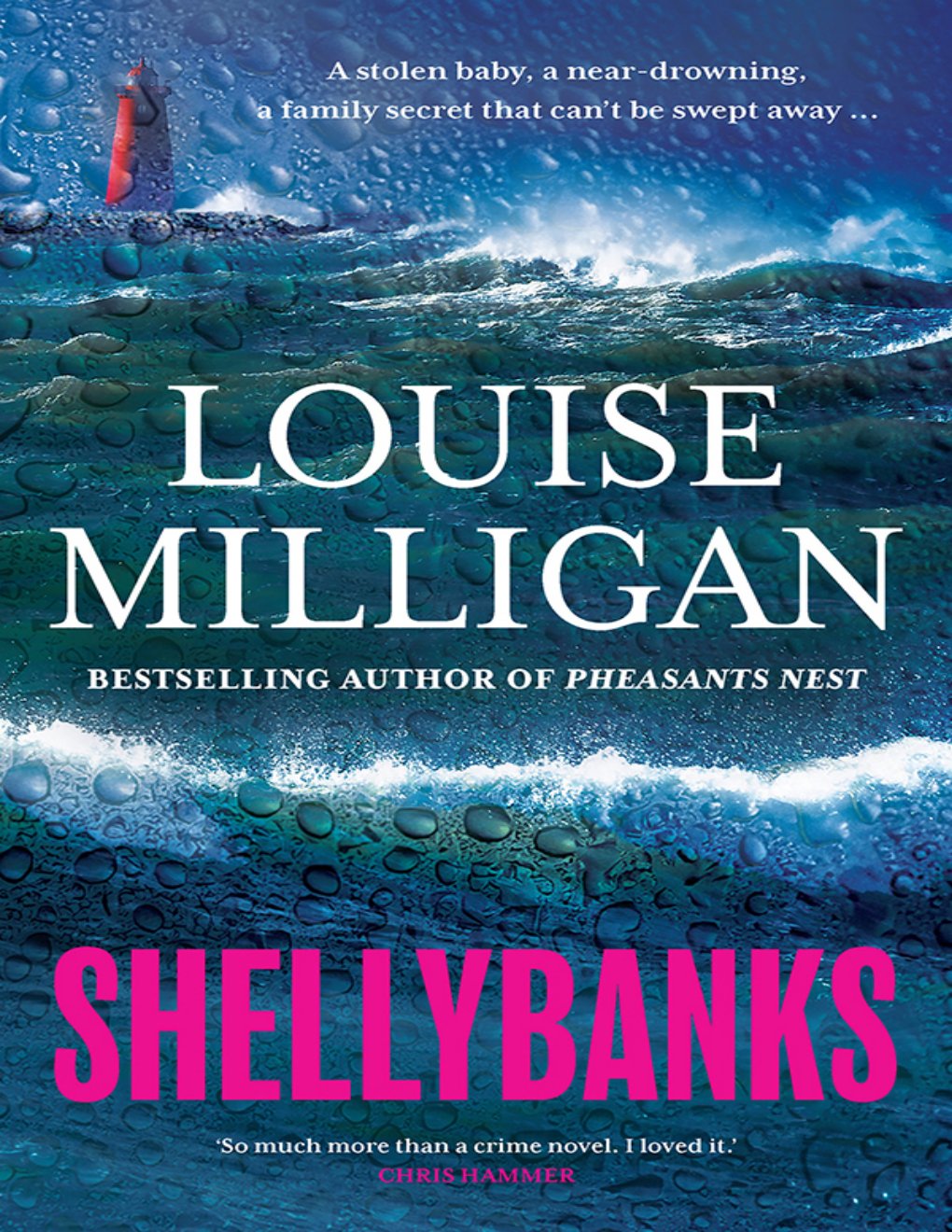 Cover of Shellybanks