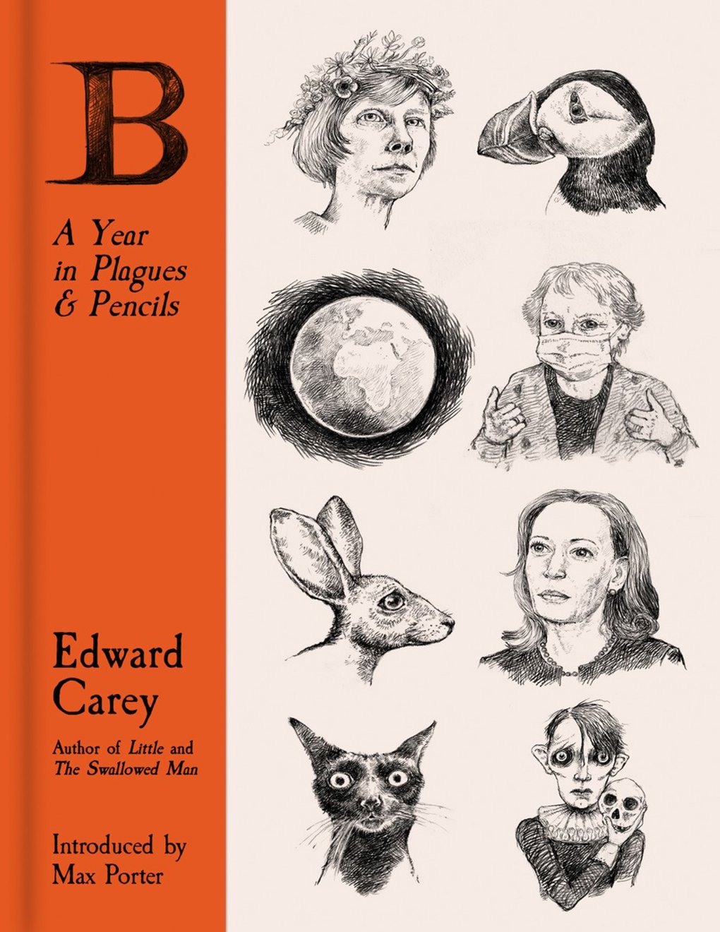 Cover of B A Year in Plagues and Pencils
