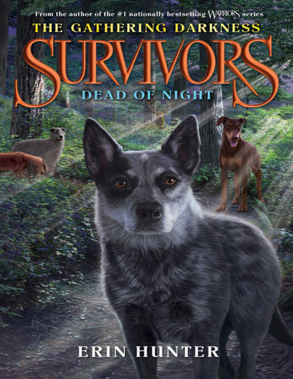 Cover of Dead of Night (2000)