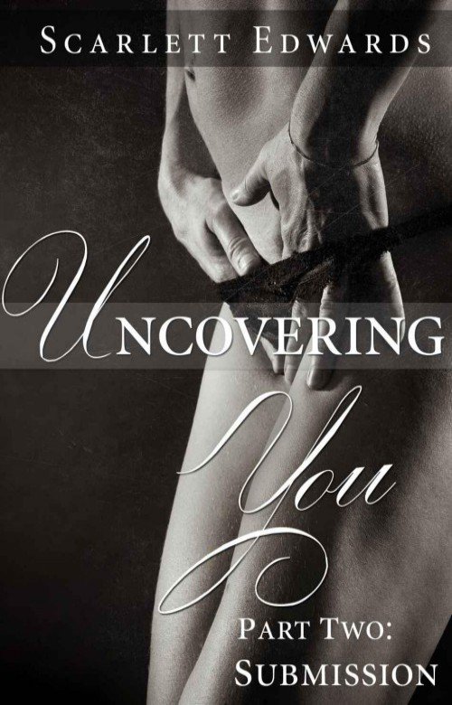 Cover of Uncovering You 2: Submission