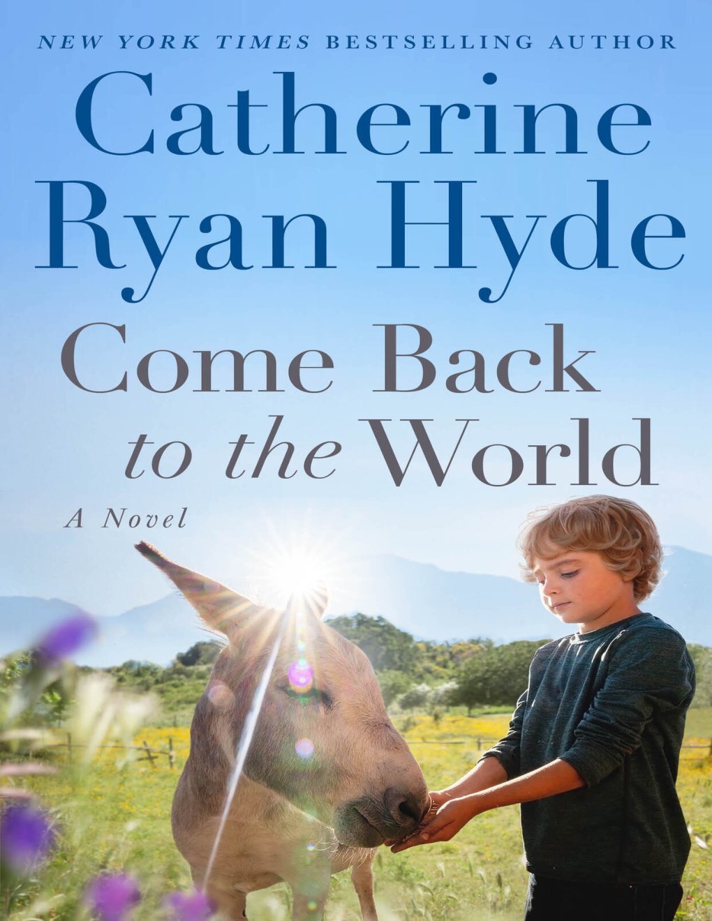 Cover of Come Back to the World- A Novel (2013)