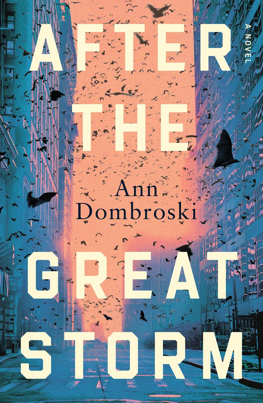 Cover of After the Great Storm